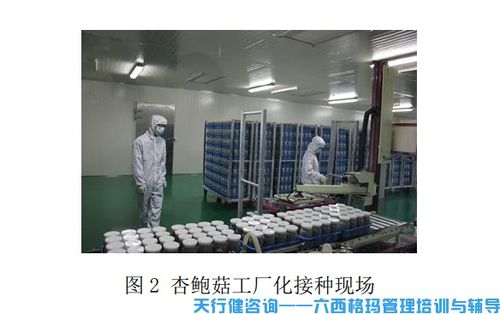 杏鮑菇工廠化接種中TRIZ創(chuàng)新技術(shù)的應(yīng)用與計算機軟硬件技術(shù)開發(fā)