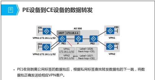 mpls 虛擬專用網(wǎng)絡技術(shù)原理與配置